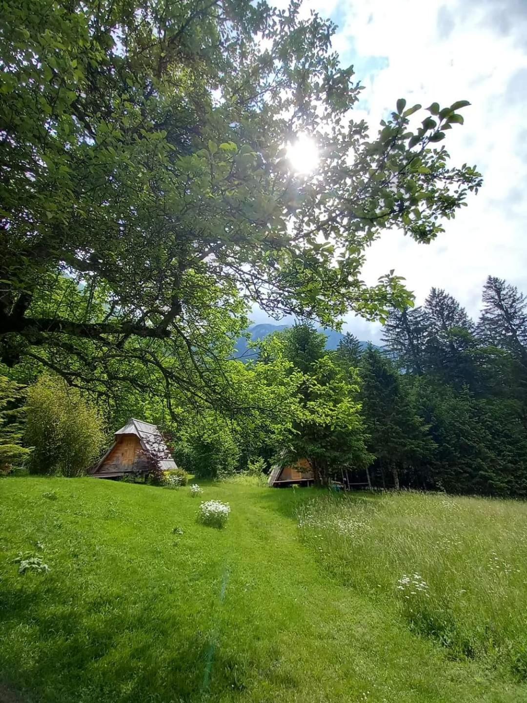 Apartamento Lepa Lopa Stahovica Habitación foto